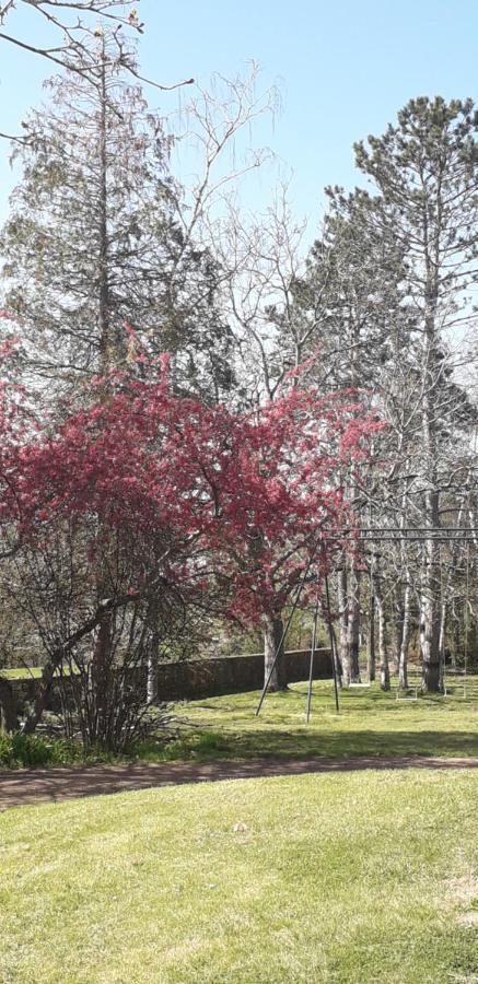 Chambres D'Hotes La Maison D'Apres Charolles Εξωτερικό φωτογραφία
